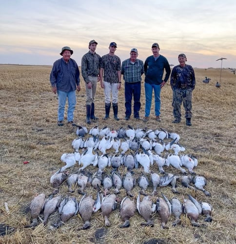 Saskatchewan All Inclusive Waterfowling In Saltcoats