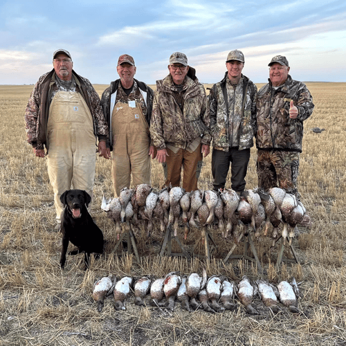 Saskatchewan All Inclusive Waterfowling In Saltcoats