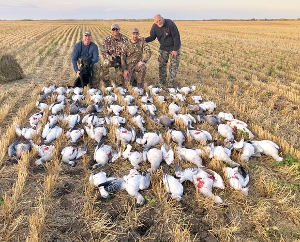 Saskatchewan All Inclusive Waterfowling In Saltcoats