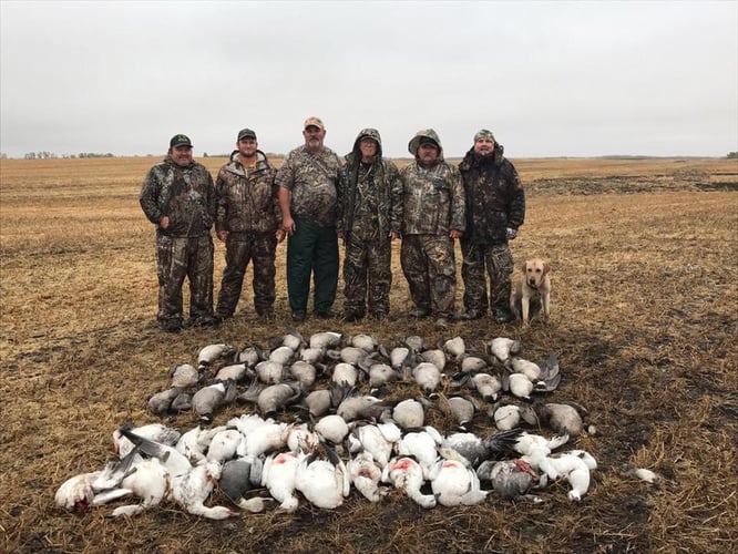 Saskatchewan All Inclusive Waterfowling In Saltcoats