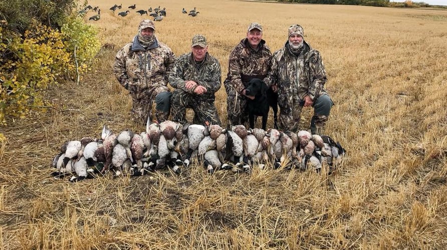 Saskatchewan All Inclusive Waterfowling In Saltcoats