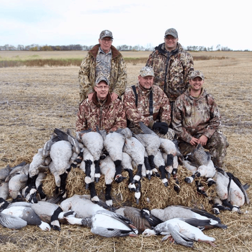 Saskatchewan All Inclusive Waterfowling In Saltcoats