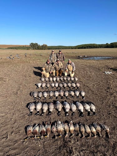 Saskatchewan All Inclusive Waterfowling In Saltcoats