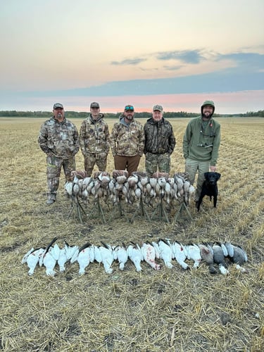 Saskatchewan All Inclusive Waterfowling In Saltcoats