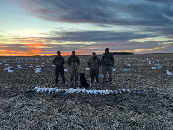 Arkansas Fall Duck And Goose Hunts In Paragould