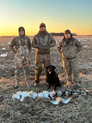 Arkansas Fall Duck And Goose Hunts In Paragould