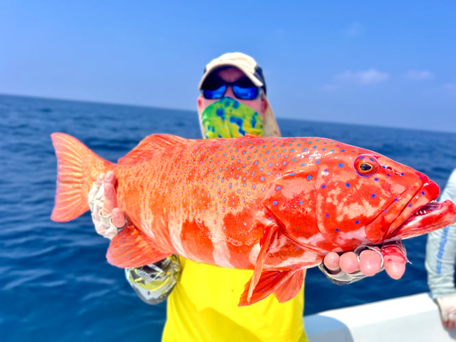 Game Fishing In Andaman  For Half Day In Port Blair