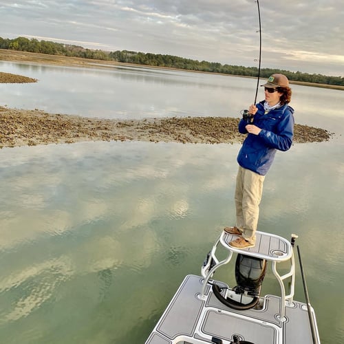 Sight Fishing With Artificials! In Palm Harbor