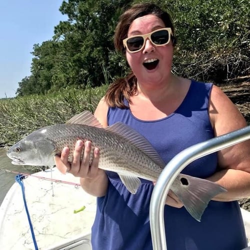 Sight Fishing With Artificials! In Palm Harbor