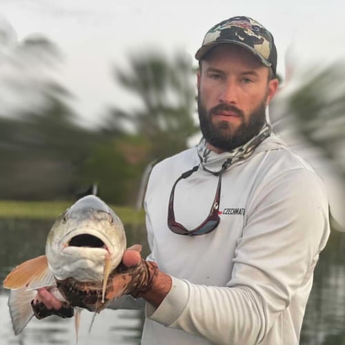 Sight Fishing With Artificials! In Palm Harbor