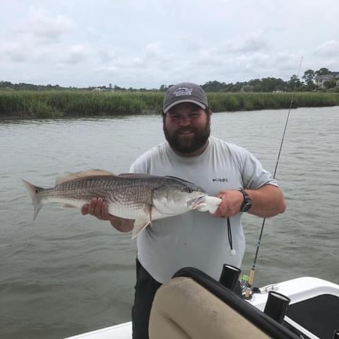 Sight Fishing With Artificials! In Palm Harbor