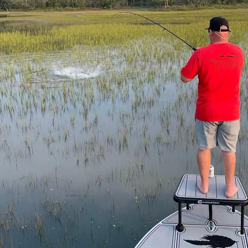 Sight Fishing With Artificials! In Palm Harbor