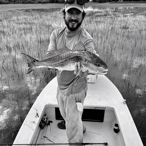 Sight Fishing On The Flats - Fly Fishing In Palm Harbor