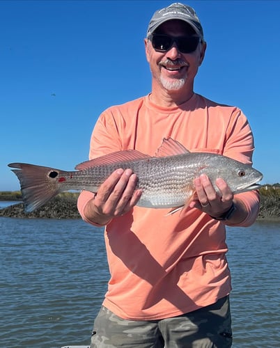 Sight Fishing On The Flats - Fly Fishing In Palm Harbor