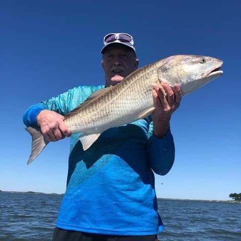 Sight Fishing On The Flats - Fly Fishing In Palm Harbor