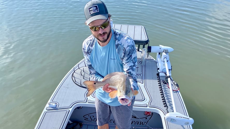 Sight Fishing On The Flats - Fly Fishing In Palm Harbor