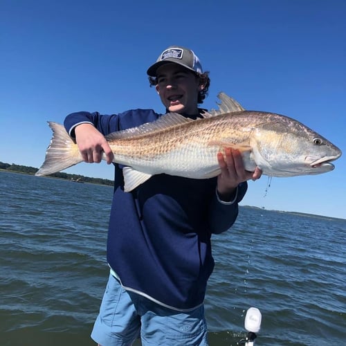 Sight Fishing On The Flats - Fly Fishing In Palm Harbor