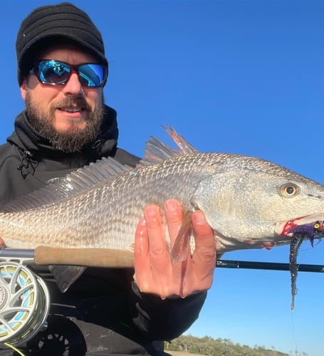 Sight Fishing On The Flats - Fly Fishing In Palm Harbor