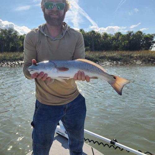 Sight Fishing On The Flats - Fly Fishing In Palm Harbor