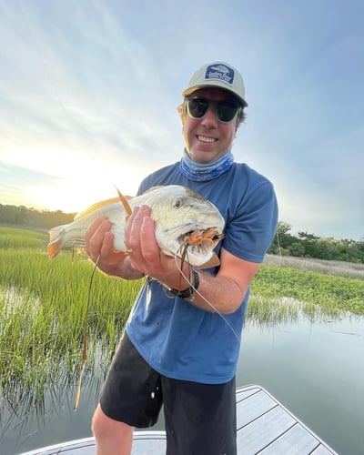 Sight Fishing On The Flats - Fly Fishing In Palm Harbor