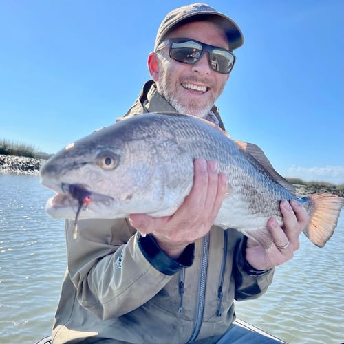 Sight Fishing On The Flats - Fly Fishing In Palm Harbor