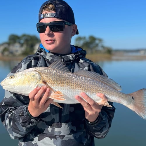 Sight Fishing On The Flats - Fly Fishing In Palm Harbor