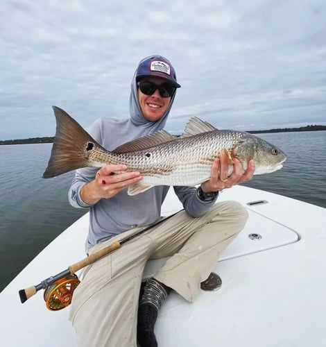 Sight Fishing On The Flats - Fly Fishing In Palm Harbor