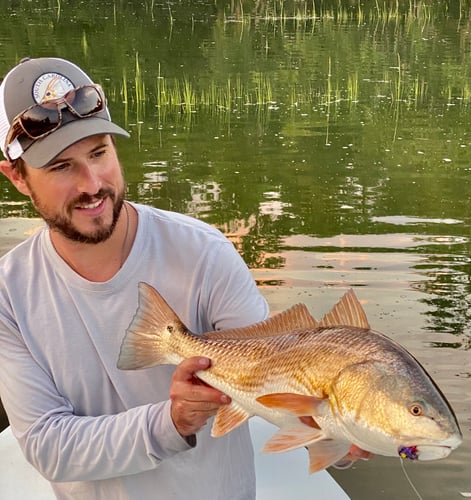 Sight Fishing On The Flats - Fly Fishing In Palm Harbor