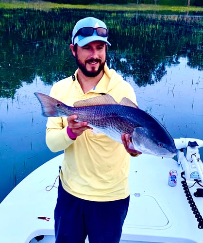 Sight Fishing On The Flats - Fly Fishing In Palm Harbor