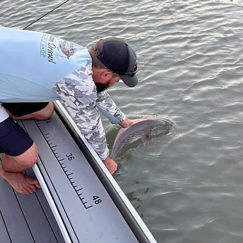 Sight Fishing On The Flats - Fly Fishing In Palm Harbor