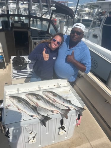 6 HR Inshore Trip In Hampton Bays