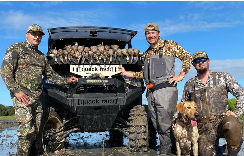 Garwood TX Dove, Cranes Or Waterfowl In Garwood