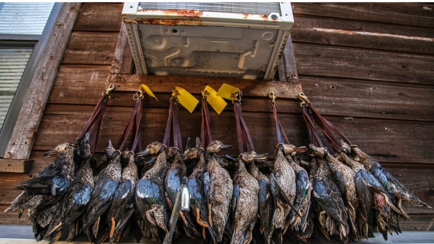 Garwood TX Dove, Cranes Or Waterfowl In Garwood