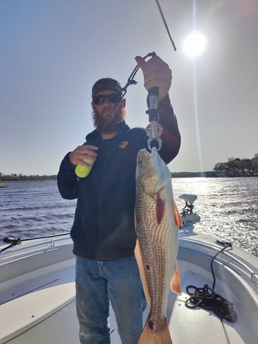 Jacksonville Inshore Fishing In Jacksonville