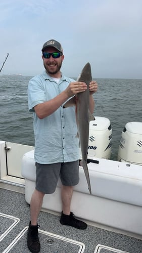 39' State Water Offshore Trip In Hitchcock
