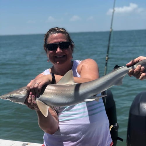 26’ Angler Shark Hunt (June-August) In Galveston