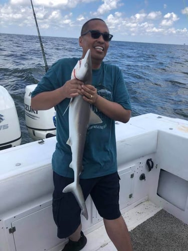 26’ Angler Shark Hunt (June-August) In Galveston