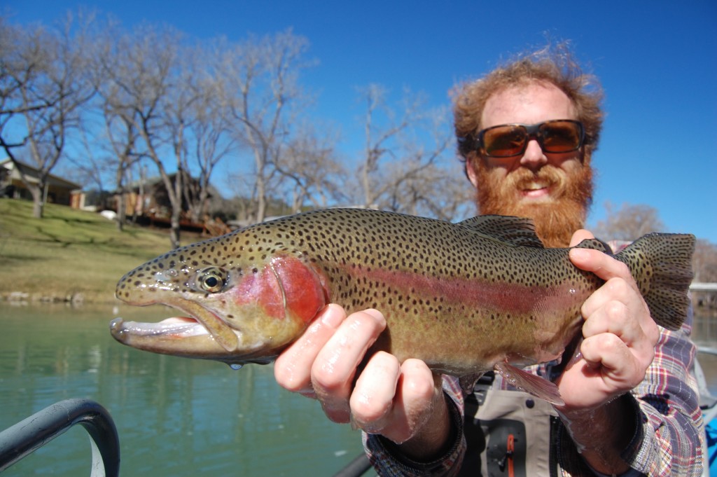 Rainbow Trout On The Guad