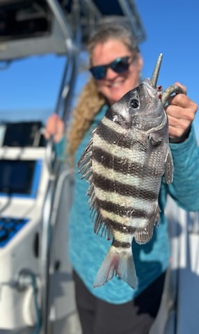 sheepshead fishing charter