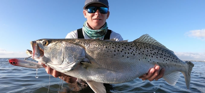 Big Speckled Sea Trout