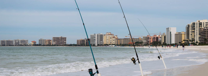 Fishing From The Beach In Florida