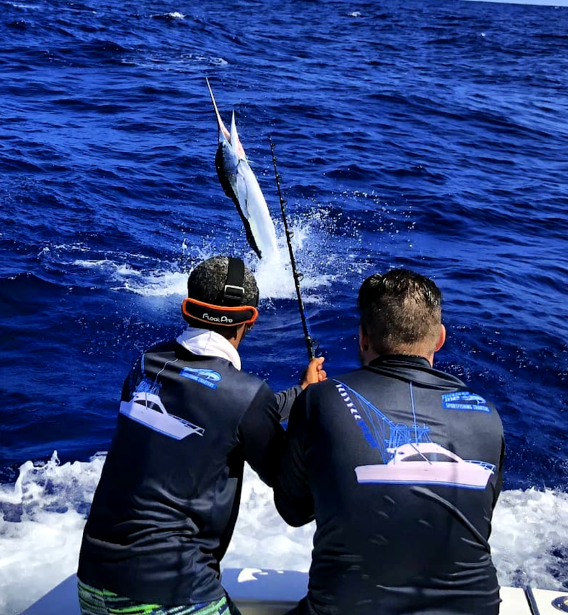 marlin fishing