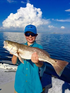 Fishing in Ingleside