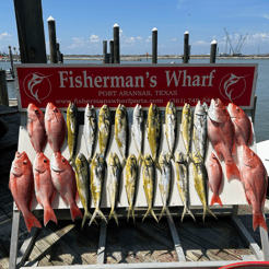 Fishing in Port Aransas