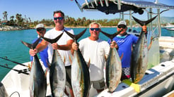 Fishing in San José del Cabo