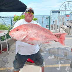 Fishing in Sebastian