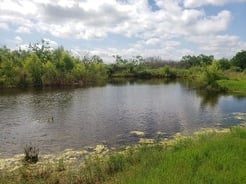 Hunting in Cibolo