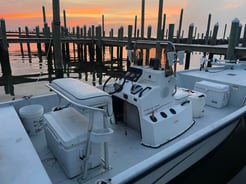 Fishing in Gulf Shores