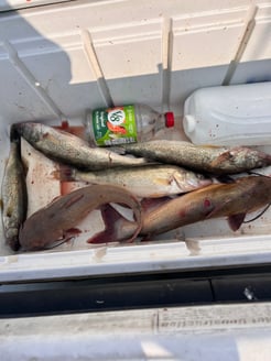 Fishing in Oak Harbor