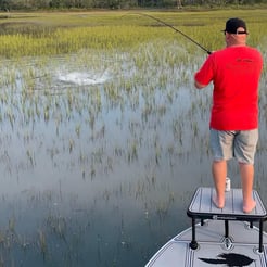 Fishing in Palm Harbor